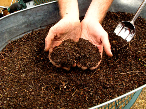 hands compost