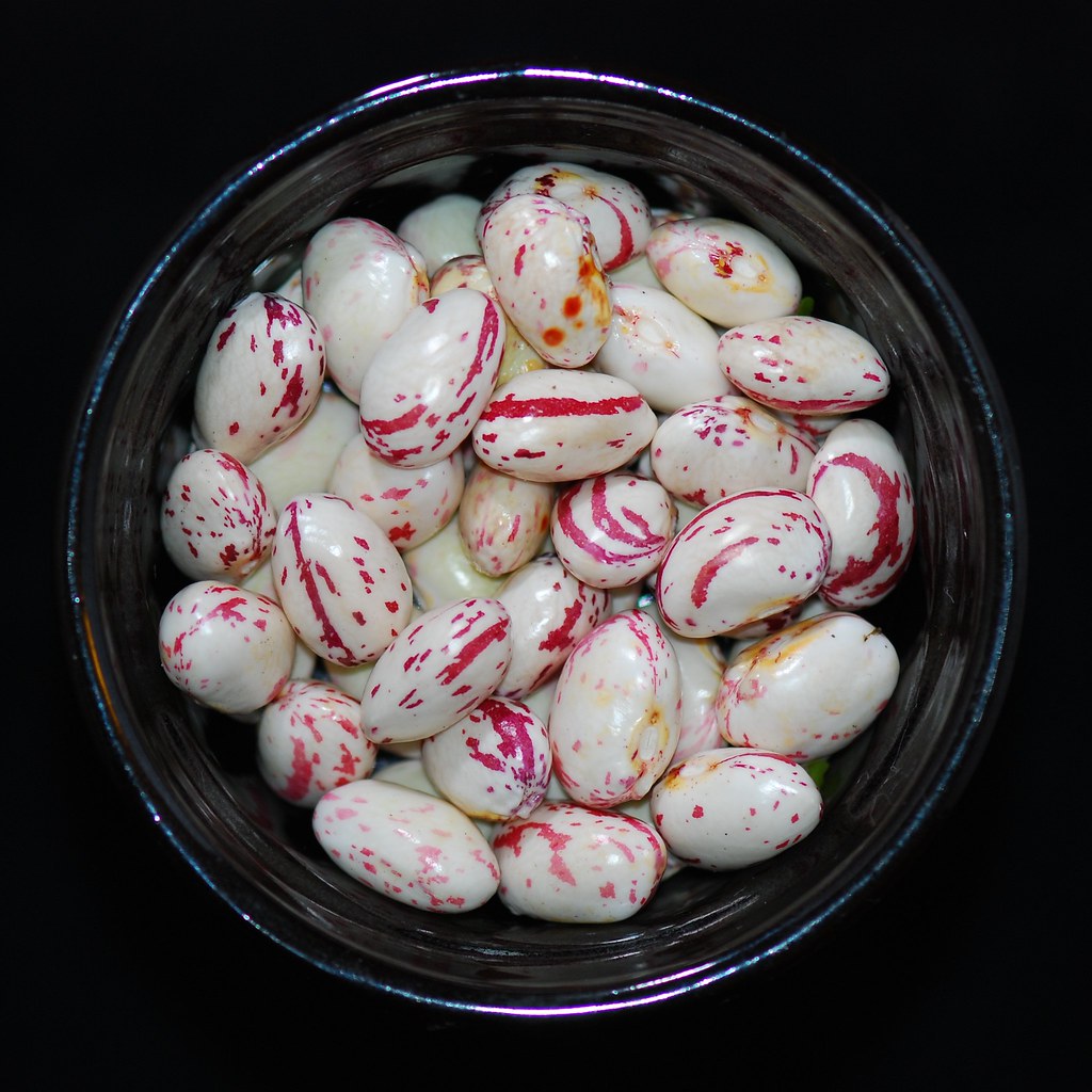 Borlotti Beans in a transparent bowl